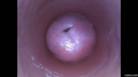 ��������� ������ �����