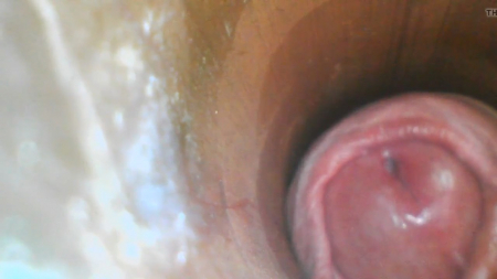 ������� ������� ����� ��������