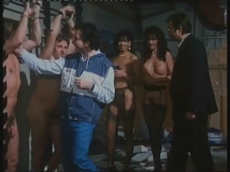 ������ ���� 1994 - ������� �������