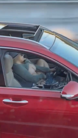 � ������������ ����� ���� �� ��������� �� ����